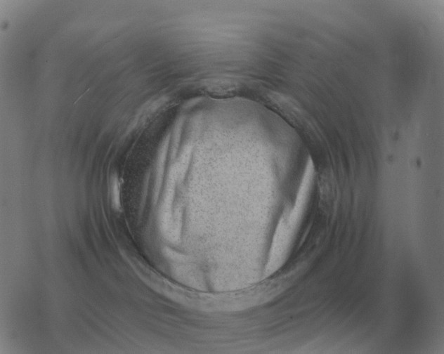 X0000076390046200610202115