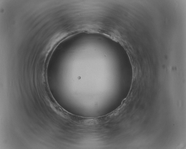 X0000076390050200610202114