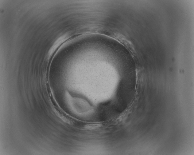 X0000076390051200610202114