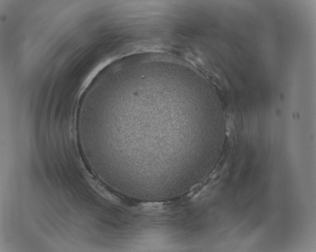 X0000076390052200610202114