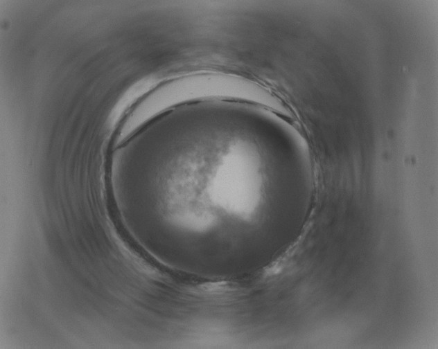 X0000076390054200610202114