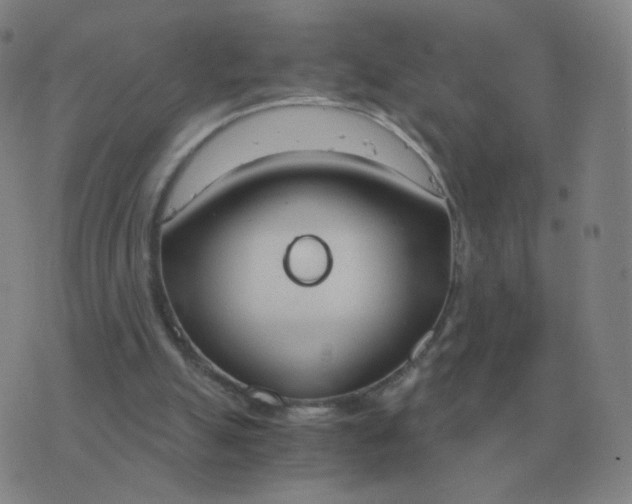 X0000076390055200610202114