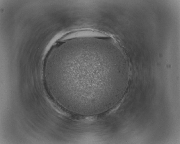 X0000076390056200610202114