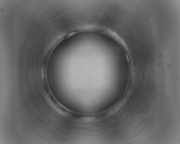 X0000076390057200610202114