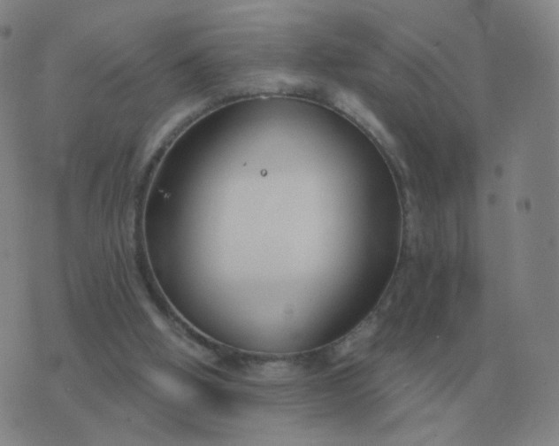 X0000076390058200610202114