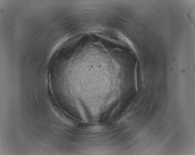 X0000076390059200610202114