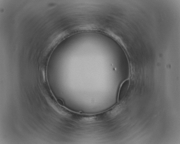 X0000076390061200610202114