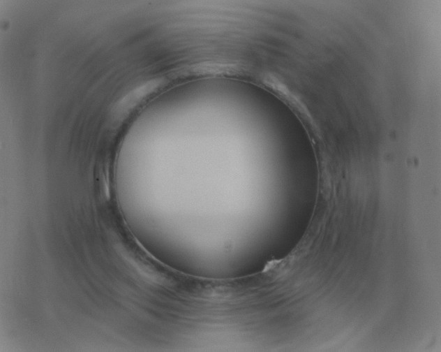 X0000076390062200610202114