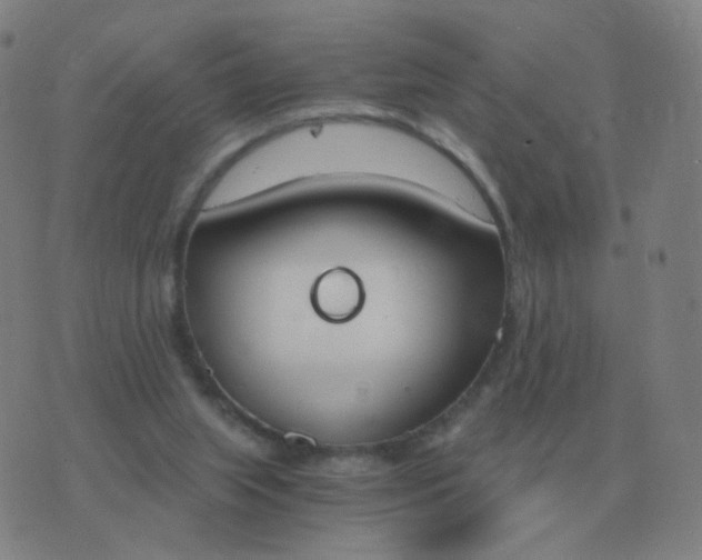 X0000076390063200610202114