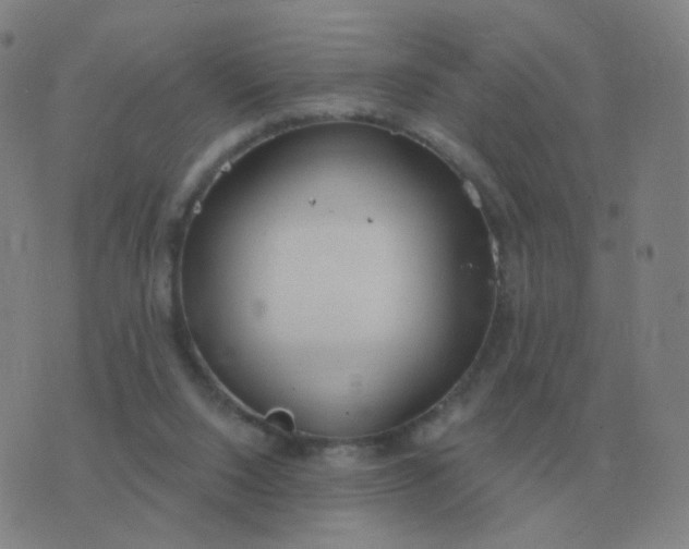 X0000076390064200610202114