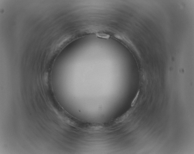 X0000076390066200610202115