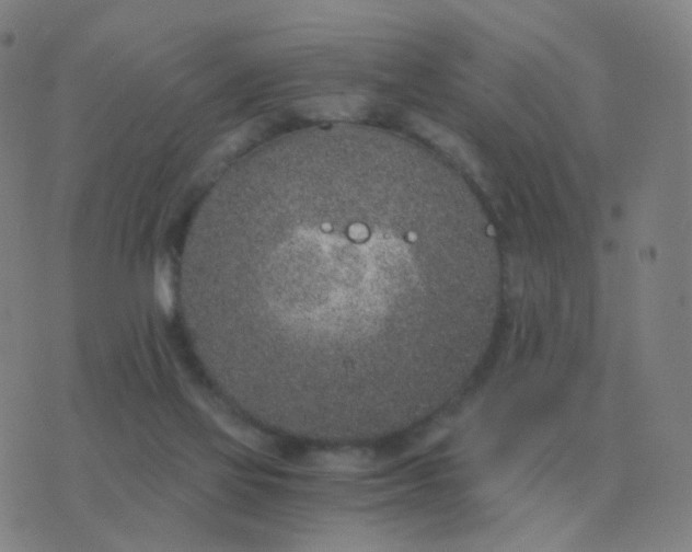 X0000076390069200610202115