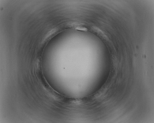 X0000076390071200610202115