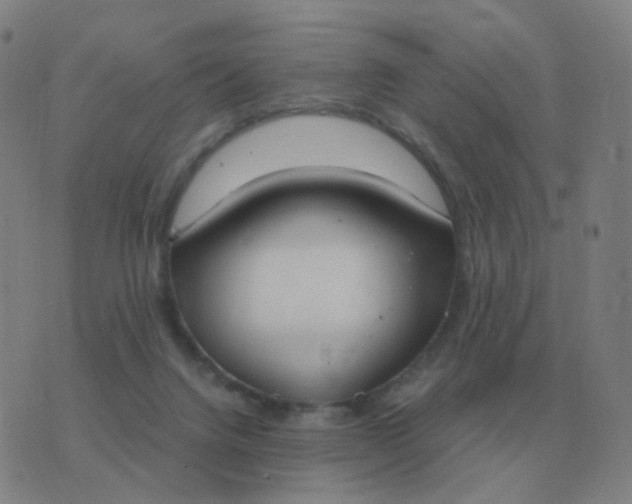 X0000076390072200610202115