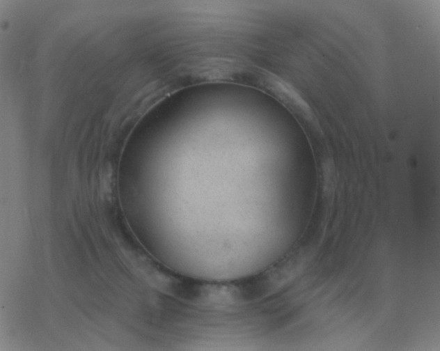 X0000076390073200610202115