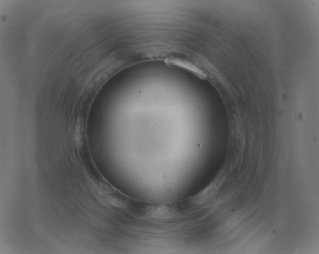 X0000076390074200610202115