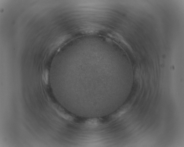 X0000076390076200610202115