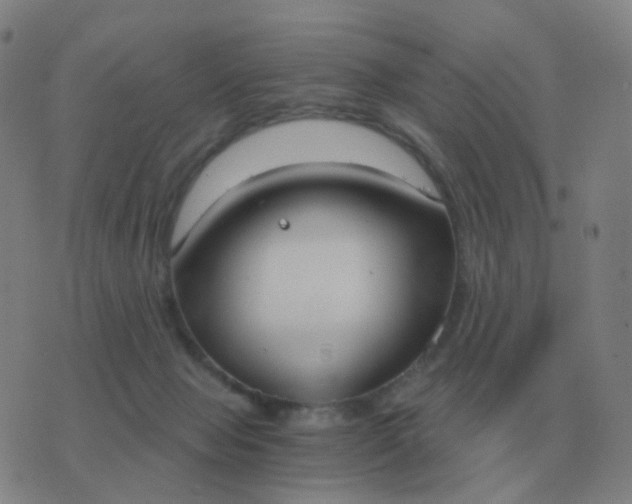 X0000076390077200610202115