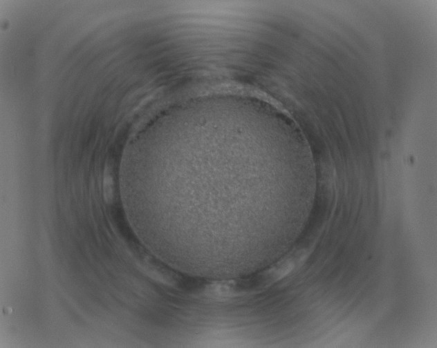 X0000076390080200610202115