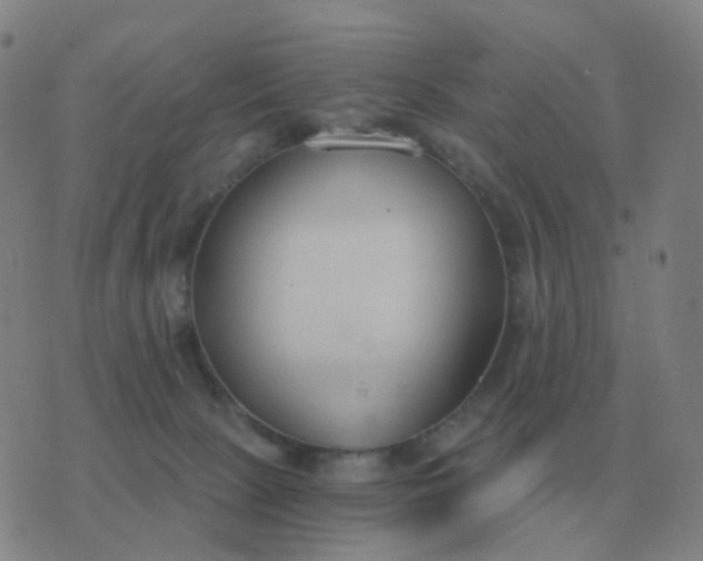 X0000076390081200610202115