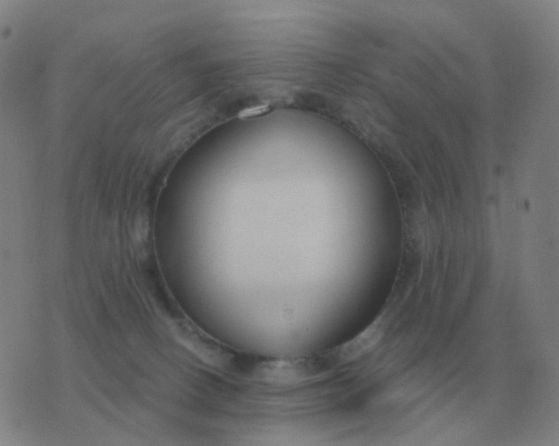 X0000076390082200610202115