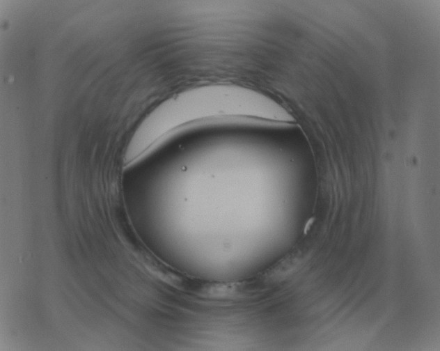 X0000076390084200610202115