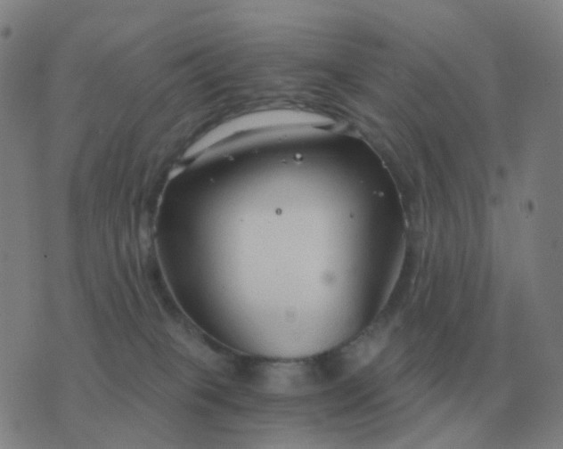 X0000076390085200610202115