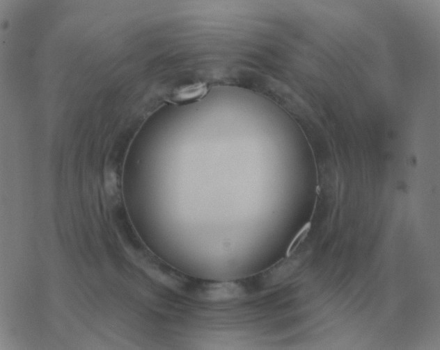 X0000076390087200610202115