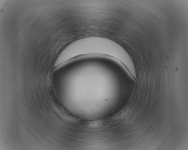 X0000076390088200610202115