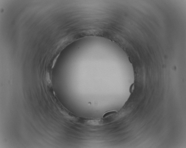 X0000076390089200610202115