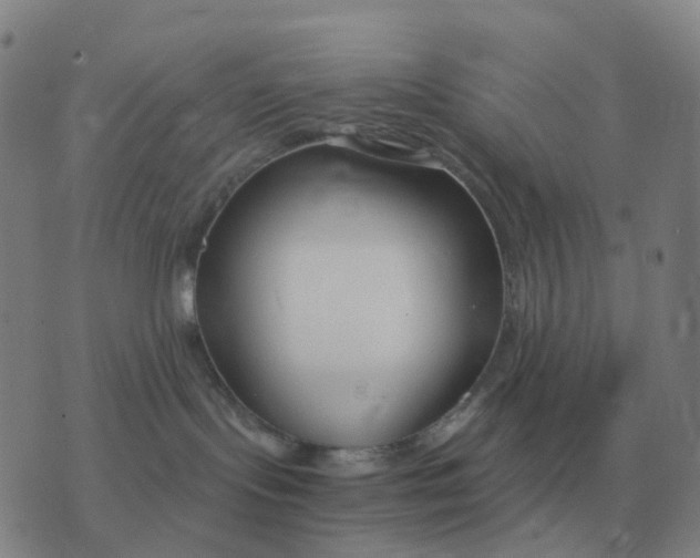 X0000076390095200610202115