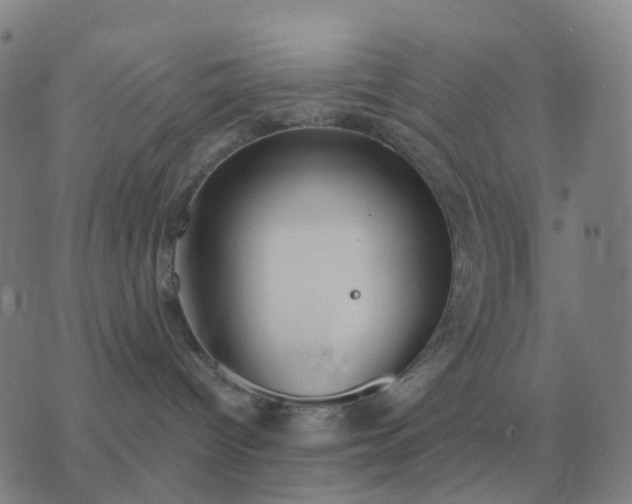 X0000076390096200610202115