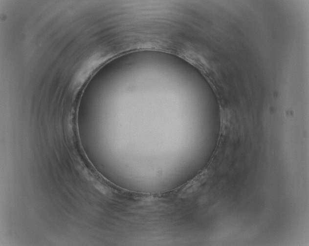 X0000076390098200610202114