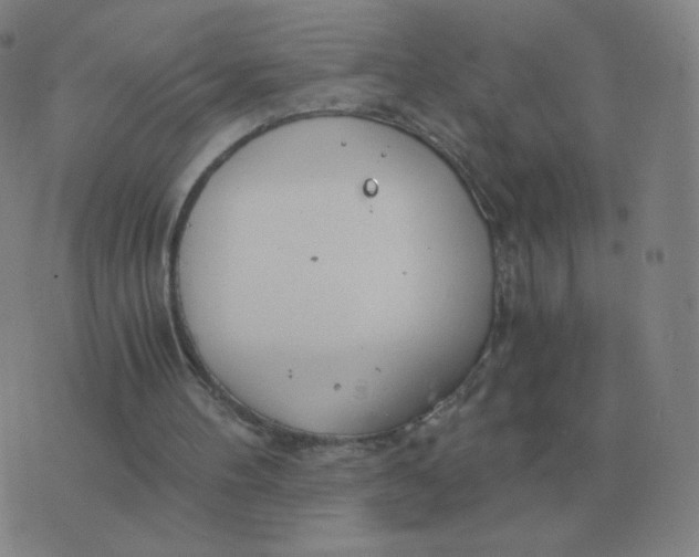 X0000076390100200610202114