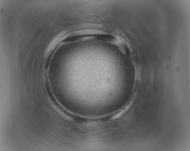 X0000076390101200610202114