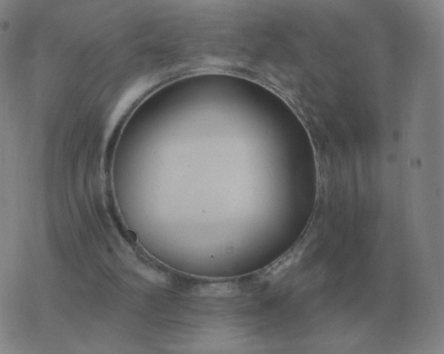 X0000076390102200610202114