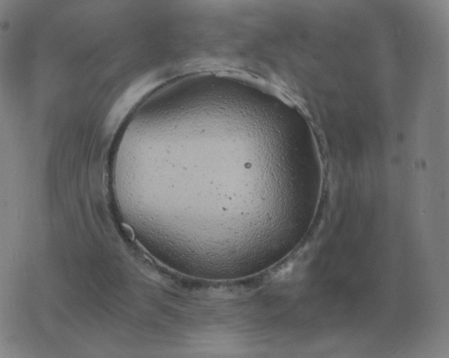 X0000076390103200610202114