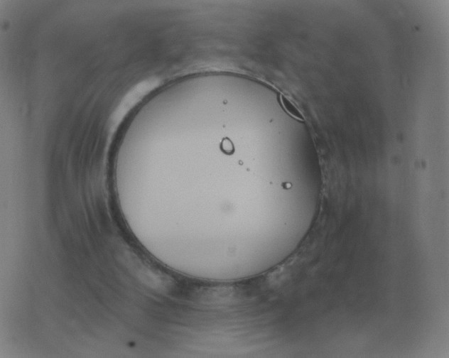 X0000076390104200610202114