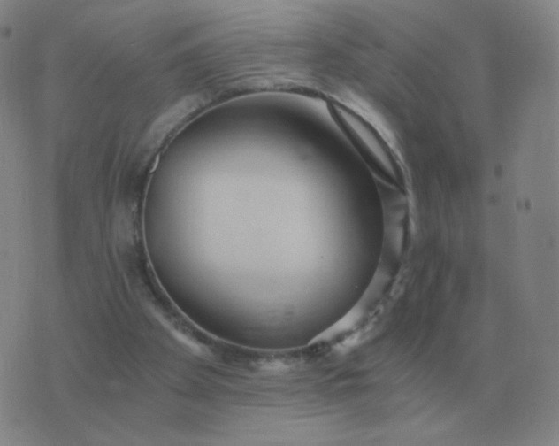 X0000076390105200610202114