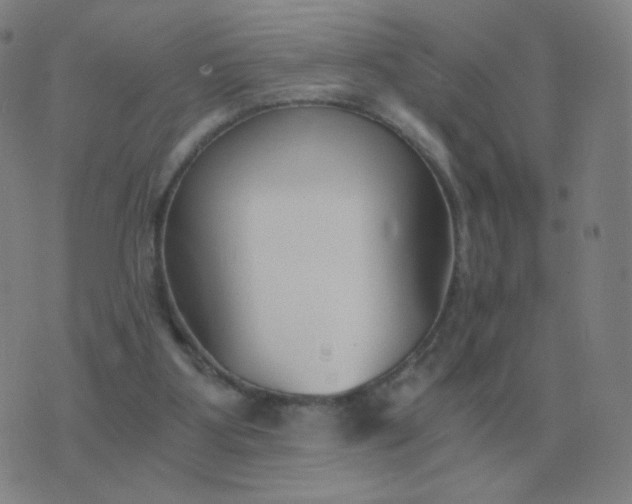 X0000076390107200610202114