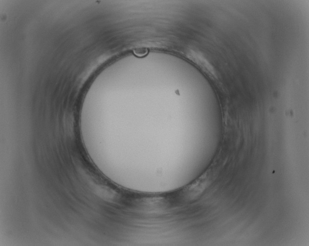 X0000076390108200610202114