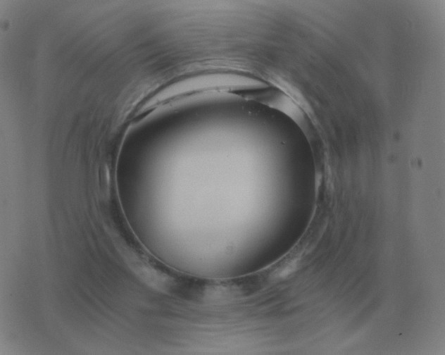 X0000076390109200610202114