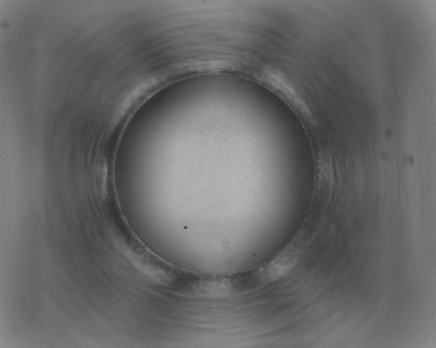 X0000076390110200610202114