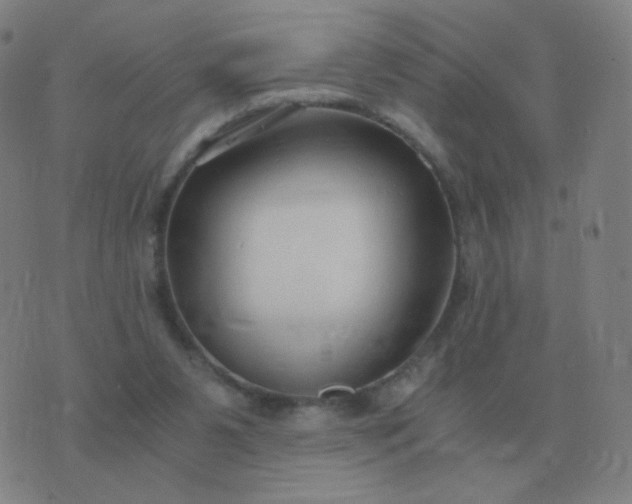 X0000076390111200610202114