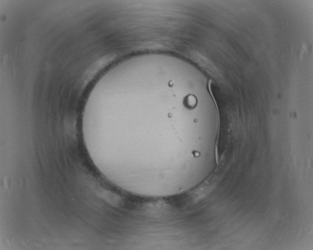 X0000076390112200610202114