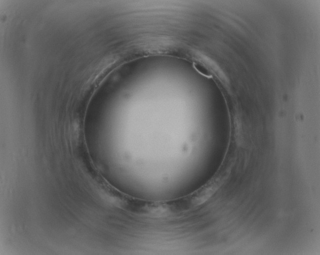 X0000076390113200610202114