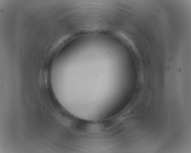 X0000076390115200610202114