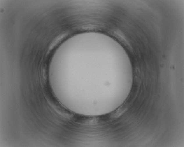 X0000076390116200610202114