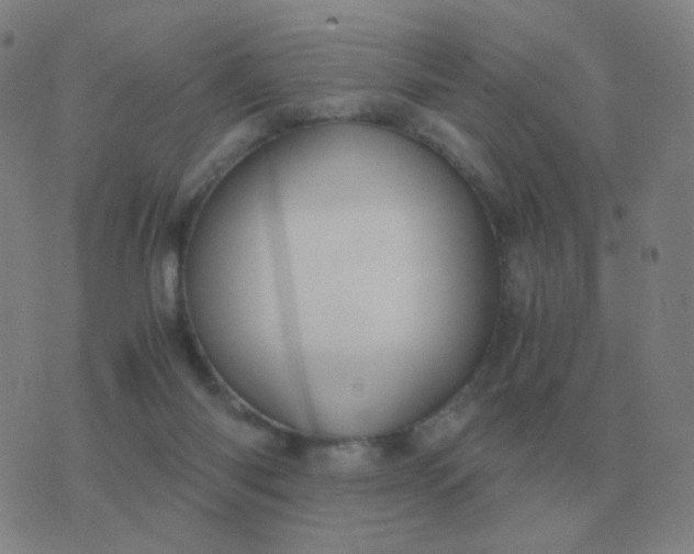 X0000076390118200610202114