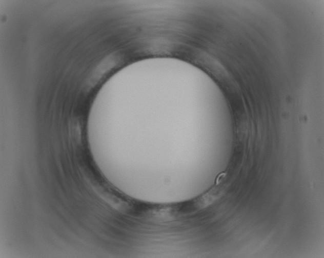 X0000076390120200610202114